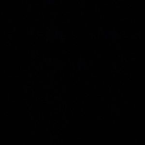 Meet your Posher, Pilon